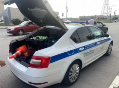 В Волжском разыскивают водителя: сбил пешехода и скрылся