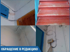 В стенах квартир живут мыши и огромные тараканы, - волжанка