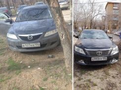 Иномаркам закон не писан: автохамы бросают авто на зеленой зоне в Волжском