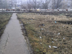 «Место для сходки алкашей»: волжанка о территории 24 микрорайона