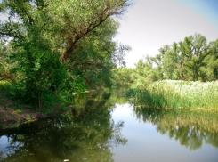 Волго-Ахтубинскую пойму экстренно заполняют миллионами кубометров воды