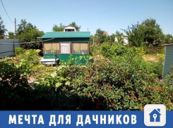 Мечту дачника выставили на продажу в Волжском 