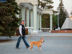 Начало недели в Волжском принесет похолодание