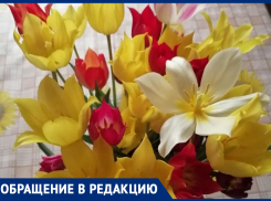 «Пора по фотографиям в соцсетях отслеживать и штрафовать»,- волжанка о первоцветах