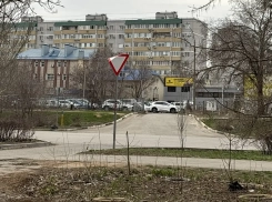 Вой ночами и нападения на людей: в Волжском жители страдают от огромной стаи прикормленных собак