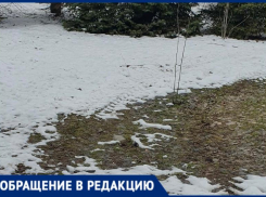 Снег убрали - деревья сломали: жители Волжского бьют тревогу