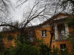 Аберрация зрения: КБиДХ спилил сухостой по одной стороне волжской улицы