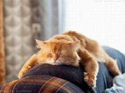 Бочаров официально утвердил выходной день для волжан