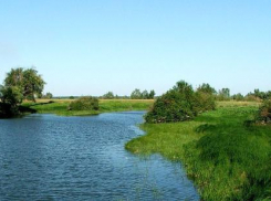 Волго-Ахтубинская пойма оборудована дамбами для сохранения воды