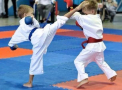 Волжские каратисты приехали домой с медалями