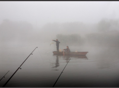 В Волгоградской области продолжают орудовать браконьеры