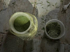 В Волжском на даче процветал наркобизнес из дикорастущей конопли