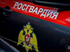 427 тревожных вызовов за неделю в Волгоградской области