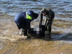 В Волжском спасатели нашли тело практически ослепшего мужчины, не вернувшегося с прогулки неделю назад