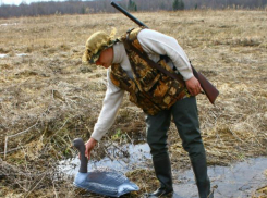 Волжанам запретили охотиться и ограничили въезд в лес