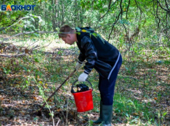 Переносится на более поздний срок: волжан предупреждают об отмене тихой охоты