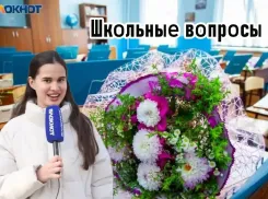 «А в ответ – тишина»: что осталось от школьных знаний у волжан