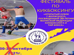 В Волжском переносится запланированный фестиваль по кикбоксингу