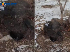 Пар из дыры в земле третий день пугает жителей Волжского