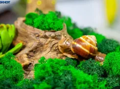 Нельзя повышать голос на родственников: народные приметы для волжан