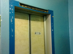 Живодёры расчленили котёнка в лифте дома по улице Мира в Волжском 