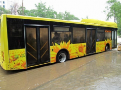 В Волжском в связи с непогодой сократили количество дачных рейсов