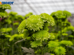 Вероятность встретить настоящих друзей возрастет: гороскоп на 26 ноября