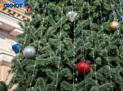 В Волжском начали работать елочные базы: где можно приобрести Новогоднюю красавицу