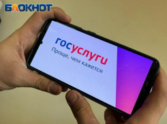 В Волжском задержали 19-летнего киберпреступника, который через госулуги оформлял микрозаймы на других людей