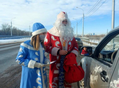 «Безопасный Новый год!»: полицейские провели мероприятие под Волжским