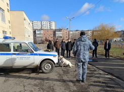 Полицейский десант высадился в школы Волжского