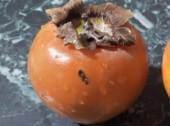 Продуктовая корзина недели: сравниваем цены на хурму в магазинах Волжского 