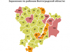 Главное о COVID-19 в Волгоградской области за 31 мая