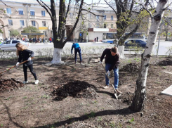Волжский запускает весенний месячник благоустройства с участием 500 организаций