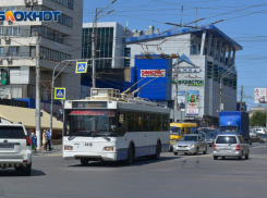 Волжане молят председателя Госдумы о помощи с безопасным транспортом