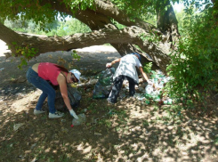Во время экологической акции с левобережья Ахтубы вывезли прицеп с мусором