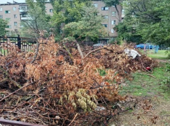Ветки и мусор наваливают у детской площадки в Волжском