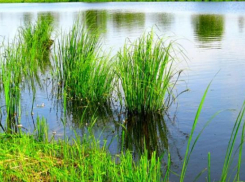 Творческий «Экологический марафон» пройдет на озере Круглом