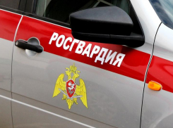 В Волжском молодые парни украли сладости из гипермаркета