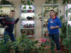 Волжские школьники приступили к созданию макета по развитию площадок ботсада