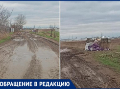 Дороги превратились в болото, а в мусорных баках копошатся крысы: насколько волжские СНТ готовы к лету