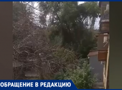 «Живем, как в лесу - одни коряженки кругом»: жители пожаловались на состояние двора в Волжском