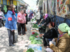 Волжские активисты навели порядок на улицах города