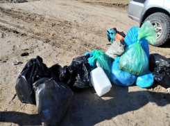 В рамках акция «Чистые берега» почистили ерики