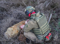 Эхо Сталинградской битвы: в Волгоградской области саперы МЧС ликвидировали две мощные авиабомбы времен войны