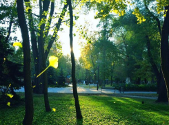 День программиста и парикмахера будет жарким