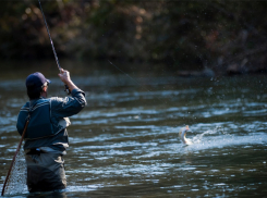 Житель Средней Ахтубы может отправиться за решетку за незаконную рыбалку