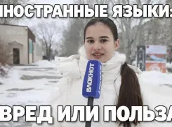 Сокращение часов на иностранный: будущее языкового образования волжан под угрозой