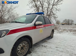 В Волжском двоих молодых людей задержали с краденым алкоголем: Росгвардия среагировала на ночной сигнал «тревоги»