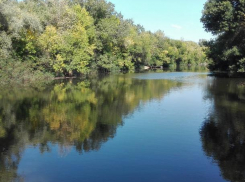 Уровень воды в Волго-Ахтубинской пойме приходит в норму